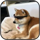 [sticker](media:AAMCAgADHQJAQwEmAAELbapeqRCbbigTtjoC2f53L3wsq004swACXwwAAujW4hIGXnR1EMMRFozxtQ4ABAEAB20AAwF-AAIZBA@telegram)