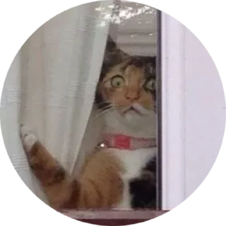 [sticker](media:AAMCAgADHQJAQwEmAAELcKFesMpL6ywXpMzA4wq0jwePa5qcQwAC1AkAAvFCvwWsEtsFAAFxIdUCwYUPAAQBAAdtAAN8CwACGQQ@telegram)