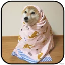 [sticker](media:AAMCAgADHQJAQwEmAAELmete4gQtDjypcN8IGH_XP13zKWcC4gACXgwAAujW4hLD6TdwJ9z38ULttQ4ABAEAB20AA1CGAAIaBA@telegram)