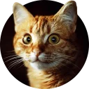 [sticker](media:AAMCAgADHQJAQwEmAAELqHZe7YpOAAE9LwABFHur6a-upsFPnmtTAAKXAgAC8UK_BbSoajbl7u-ifbCEKgAEAQAHbQADeAoAAhoE@telegram)