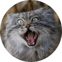 [sticker](media:AAMCAgADHQJAQwEmAAELqzRe8dWWHHC_CzdB97d2tlcNG_KGcAACAQIAAvFCvwWHfQfPDiSeVYkzhCoABAEAB20AA9pDAAIaBA@telegram)