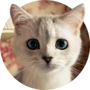 [sticker](media:AAMCAgADHQJAQwEmAAEMDoRfP_Q3-VsVAjaY5D5xNwbOwGlnZAAC5QUAAvFCvwWqgeDeJ1W-wvZDSA0ABAEAB20AAwUnAAIbBA@telegram)