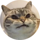 [sticker](media:AAMCAgADHQJAQwEmAAEMPGZfdsayb22z9j7sp_GSzkiKGzKeUQACnQUAAvFCvwXSIZMbS2QhJxn1Rw0ABAEAB20AA0EOAAIbBA@telegram)