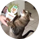 [sticker](media:AAMCAgADHQJAQwEmAAEMY2tfq9qRvMfrCDl_RMctewIbh9d4twACCQUAAvFCvwV3OEQ9EjEzZfvfgioABAEAB20AA70kAAIeBA@telegram)