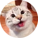 [sticker](media:AAMCAgADHQJAQwEmAAEMbBFft1TBj3jd96gcBlZbxyNB4aBf5gACsAEAAvFCvwVMi97gsTY8gC2ChCoABAEAB20AAwwfAAIeBA@telegram)