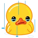 [sticker](media:AAMCAgADHQJDr2X7AAEB001qkFzNff8Q_LAzfkC-zqcpvPyxYAAC8wADVp29Cmob68TH-pb-AQAHbQADPQQ@telegram)