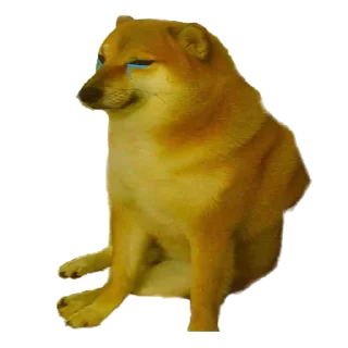[sticker](media:AAMCAgADHQJDr2X7AAEBHw1h-Cqy-34ZdJZwwQOykLyjfSY6UgACAgADBc7CLYQoNSykq4gQAQAHbQADIwQ@telegram)