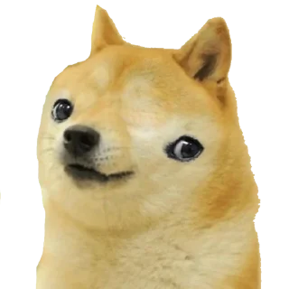 [sticker](media:AAMCAgADHQJDr2X7AAEBK2Fi1030RrBVv0XRCIFuQAcqiAhvZgACBgADBc7CLcfjg7kRESs8AQAHbQADKQQ@telegram)