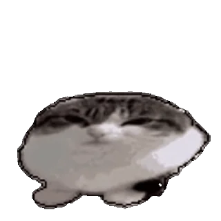 [sticker](media:AAMCAgADHQJDr2X7AAEBaA1mcM9YH-wBKFz8AYuNHkJtrERS9wACGy8AAr3UaUtMsyF4D0_lmQEAB20AAzUE@telegram)