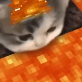 [sticker](media:AAMCAgADHQJDr2X7AAEBtkBpINoiZbuK2Yee07_O7u49xhjTHgACpx8AAicJSEk91mPgvXwN4gEAB20AAzYE@telegram)