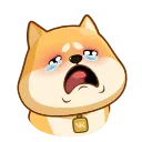 [sticker](media:AAMCAgADHQJPSdx3AAEC5Gxh5SFz0UWU5cQj1s3QihqIfxasowACHoEAAp7OCwABGIkChLbn3WYBAAdtAAMjBA@telegram)