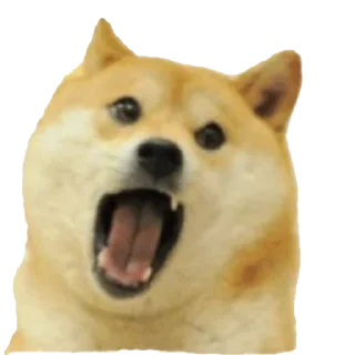 [sticker](media:AAMCAgADHQJPSdx3AAECvQ9gm6CJnob7krN_8AlqQDho3o8tPAACNAADBc7CLaJ1EKw_07tT7ei_lC4AAwEAB20AA7cCAAIfBA@telegram)