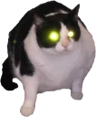[sticker](media:AAMCAgADHQJPSdx3AAECwg5gphwHytBD2un-aiv551RXH2rkTQACnAADtvArFL1Ue7s-JdGRZdE4DgAEAQAHbQADe5QAAh8E@telegram)