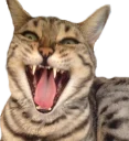 [sticker](media:AAMCAgADHQJPSdx3AAECwglgphvgX4kPEvbGvHzjPKRR0B3KDQACoAADtvArFB1Vkr-sFrVVCdw4DgAEAQAHbQADbQgAAh8E@telegram)