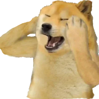 [sticker](media:AAMCAgADHQJPSdx3AAECyX1gx1V-hVREWhYJ5C-XPQ1dP6xqcwACDgADBc7CLUT_SaZwrHQCnQ_JlC4AAwEAB20AA-daAAIfBA@telegram)