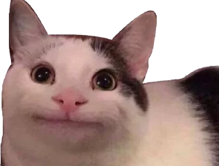 [sticker](media:AAMCAgADHQJQ4sFGAAIOSGGd5Z9K7FnuZVXk6nosRLOimL08AAJ2AQACwwnwA4X_TkhNjMuqAQAHbQADIgQ@telegram)