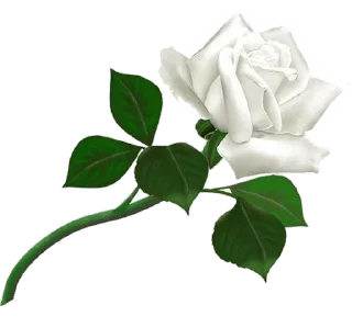 [sticker](media:AAMCAgADHQJpKPSMAAJmbmJ2tJmA0O6sr8cZcpt4XDAQP2KnAAKfFQACP2IRSiczvcDuYpUyAQAHbQADJAQ@telegram)