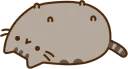 [sticker](media:AAMCBAADHQI9ls-AAAEZ9-9jYQS9o-8z4HSkE0E6EXMcJMaewwACqAMAAlI5kwZ0za2eKEtZigEAB20AAyoE@telegram)