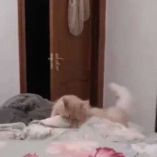 [sticker](media:AAMCBAADHQJDr2X7AAEBZJhmW-LNc5ZnOu-SHwGIAe9P-HVPfwACJRAAArMY2FKtvi-kcqnRKwEAB20AAzUE@telegram)