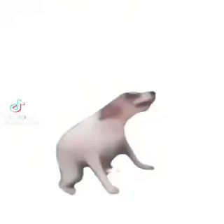 [sticker](media:AAMCBAADHQJDr2X7AAEBuFJpTaCEjEhA9Ttj29UURX_eRMi9wgACBBAAAk64SFIpySYrLDRjrQEAB20AAzYE@telegram)