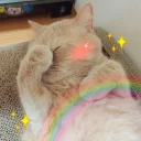[sticker](media:AAMCBAADHQJPSdx3AAECDxBf3xKXhAJXaIHC71AlaIfSDd5lRwACaAADzjkIDfs8v7I8HRofqQ3CGgAEAQAHbQADMxwAAh4E@telegram)