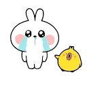 [sticker](media:AAMCBAADHQJPSdx3AAECwUpgpF10RMa1FQg2t404AebUXWgjLQACnQIAAktp7hA-vxGU6SKjBbXjqRsABAEAB20AA7VtAAIfBA@telegram)