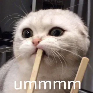 [sticker](media:AAMCBQADHQI9GfldAAEBEz1gJpieq30KMJON6sDg1ZnVG21_qgACQAADHbdNKFIfh6h_7-63VYOpanQAAwEAB20AAwsxAAIeBA@telegram)