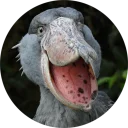 [sticker](media:AAMCBQADHQI9GfldAALbrl4xB67ZFj0OX3FNdlQbdy-ZSEFBAALFAAPZLIkPfPaBDrqOyUtRP94yAAQBAAdtAANxIAACGAQ@telegram)