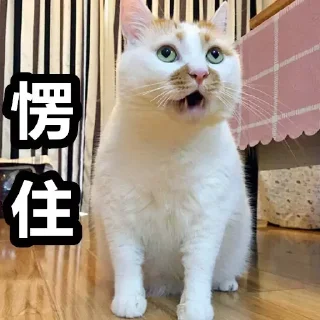 [sticker](media:AAMCBQADHQI9GfldAALtsV6nDT3qqsGhinQL80tENJucb5rwAAKcAQAC6-mwGpkuDYosnuuOosP5MgAEAQAHbQADOjAAAhkE@telegram)