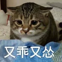 [sticker](media:AAMCBQADHQI9ls-AAAEVCOJe4Y3XmollUpUNUbn720YxCc-PxQACPQADtPWrGKc7ZTBHzRW4cYbWMgAEAQAHbQAD9DkAAhoE@telegram)