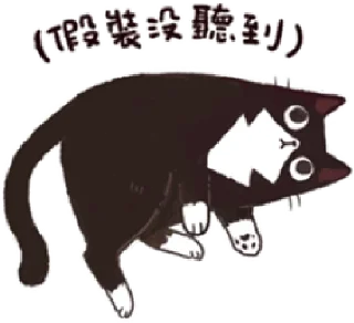 [sticker](media:AAMCBQADHQI9ls-AAAEWS3dgArMY-UiaAd2x7483kXJ41Jbg2wAC7QADT4K5V7eAR-Fd2L0E0RLJbXQAAwEAB20AA1xHAAIeBA@telegram)