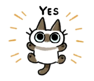 [sticker](media:AAMCBQADHQI9ls-AAAEYg2NhSwiU7jTfqqtddzliidZtb9moYQACKgADBzrBJfvkVShl02aWAQAHbQADIAQ@telegram)