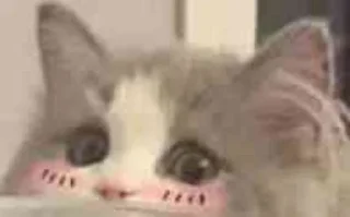 [sticker](media:AAMCBQADHQI9ls-AAAEYqqthe8aXSXb-2Gddb9YaZXLvWj2EbwACcwMAArlesVX_0cxT5VUIwwEAB20AAyAE@telegram)