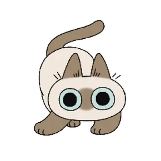 [sticker](media:AAMCBQADHQI9ls-AAAEaK6pkIrkz274XVO2F32VDlnbffQdcgwACpwgAAmX_UVQV0b_SGRBD5AEAB20AAy8E@telegram)