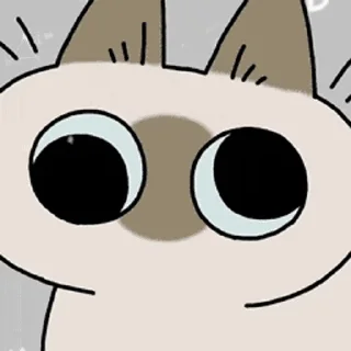 [sticker](media:AAMCBQADHQI9ls-AAAEaK7xkIrmgtl5zIQFpD9knGfXdCp31igAC4hIAArDxSFQzhItbHLXzYgEAB20AAy8E@telegram)