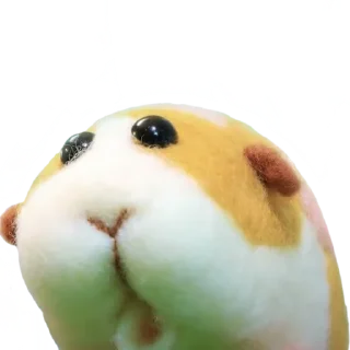 [sticker](media:AAMCBQADHQI_K-iKAAEDfspgGbkAAbuQ5XkghHzwXjx6pKBUIGwAAi8AA3NezxipQPCqa-WagNZr3HB0AAMBAAdtAAORGwACHgQ@telegram)