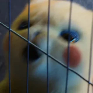 [sticker](media:AAMCBQADHQJA2ZtDAAEBLXhfoXXx5fTg_do3Davrp844IRjU9AACSgUAAlDOagH54XBFD_Hy2Gf39zIABAEAB20AA14yAAIeBA@telegram)