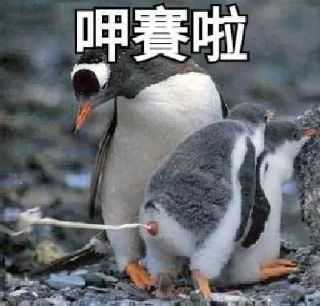 [sticker](media:AAMCBQADHQJAQwEmAAELx8dfAzG7f8A-ahuTdrYTIS2gPztTzQACnAcAAslDtQkHwyfRjwW0poDpyWt0AAMBAAdtAAP4WwACGgQ@telegram)