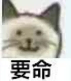 [sticker](media:AAMCBQADHQJDr2X7AAEBHjph6lAhxidHxnsNpoZkvHvASQwGMwACRAADJbLRPwvEiSMBNro9AQAHbQADIwQ@telegram)
