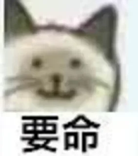 [sticker](media:AAMCBQADHQJDr2X7AAEBLodi-0E49wKWjsMVryj2PuKe9TO2YQACRQADKUQbKKRF0LZQKVCsAQAHbQADKQQ@telegram)