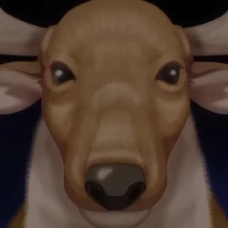 [sticker](media:AAMCBQADHQJDr2X7AAEBa6Nmio46YYjvFqes5I_cdRIkhNhM-AACjQ8AAgfbMVcsyFhX6G9SiAEAB20AAzUE@telegram)