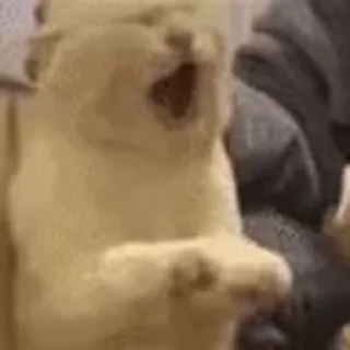 [sticker](media:AAMCBQADHQJDr2X7AAEBc8ZmwwYGMp-6tfEdDD9jX47XIN7ZGAACqQgAAunJuFWkQ1AQgc8ZngEAB20AAzUE@telegram)