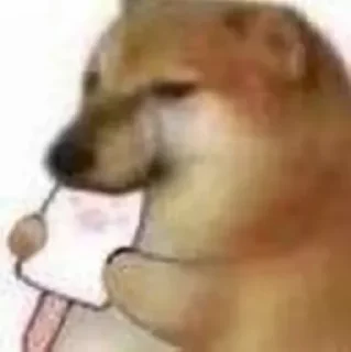 [sticker](media:AAMCBQADHQJDr2X7AAEBeGZm5SwdvpkrcPdpKI_sTDTvbVxgUQAC8ggAAhZ98FRva5v9YrY4lAEAB20AAzYE@telegram)