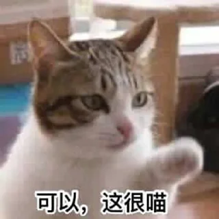 [sticker](media:AAMCBQADHQJDr2X7AAEBnFln7Qfqo7l5zi0oQaV7Zb5OwCME5wACnwsAAnecOVfTc3vXhA_6jQEAB20AAzYE@telegram)