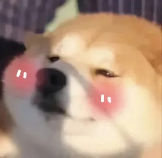 [sticker](media:AAMCBQADHQJDr2X7AAEBpOZofeENQFtCbOdVewVyQGDuOX-z3gACthQAAk9bGVSWWdUdxCfS1gEAB20AAzYE@telegram)