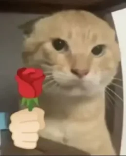 [sticker](media:AAMCBQADHQJDr2X7AAEBpfxonZRsnIrnu_0T2-1kP8eePtRcmwACyxUAApoUcFZoiVtHwadlWAEAB20AAzYE@telegram)