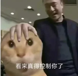 [sticker](media:AAMCBQADHQJDr2X7AAEBqZxo3SRwRcsbe_BSZMUAASHWTh-PvyMAAhAXAALWdZlU-ldGYOM3Hx8BAAdtAAM2BA@telegram)