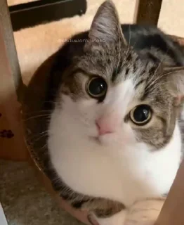 [sticker](media:AAMCBQADHQJDr2X7AAEBtuVpL81jaZjvQe21zyDbvpkCKsEl7QACYBcAAqY2aVRnQlt483q60AEAB20AAzYE@telegram)