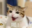 [sticker](media:AAMCBQADHQJOqxgWAAJtYGJRGE1NIpsuocMqvt6YAAE2hOkKfwACDQAD1zRtDi2CO3hNCBFWAQAHbQADIwQ@telegram)