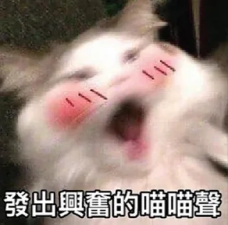 [sticker](media:AAMCBQADHQJPSdx3AAECLgdf_lcHQ-UR-CV6IxLLFffXywnsYwACigADWs9-Fnqi7jURZqNXyAs_a3QAAwEAB20AA1xuAAIeBA@telegram)